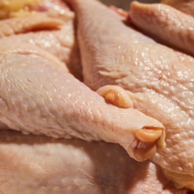 Trozos de gallina cruda para guisar, procedente de una pequeña granja del condado de Lancaster, Pensilvania (EE. UU.). Estas gallinas de mayor edad se trocean de esta manera para preparar sopas y guisos.